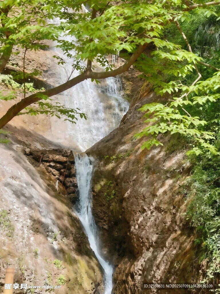 山间瀑布旁的翠绿景致