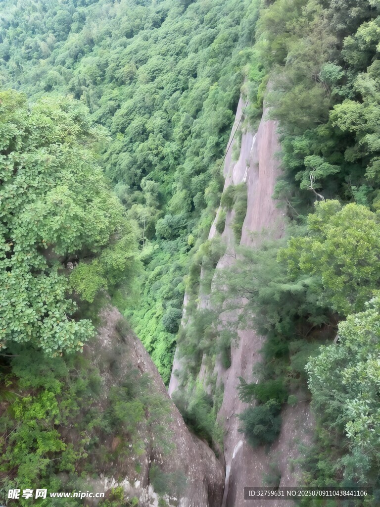 山间深谷绿意盎然