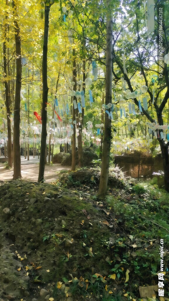 秋日林间小道