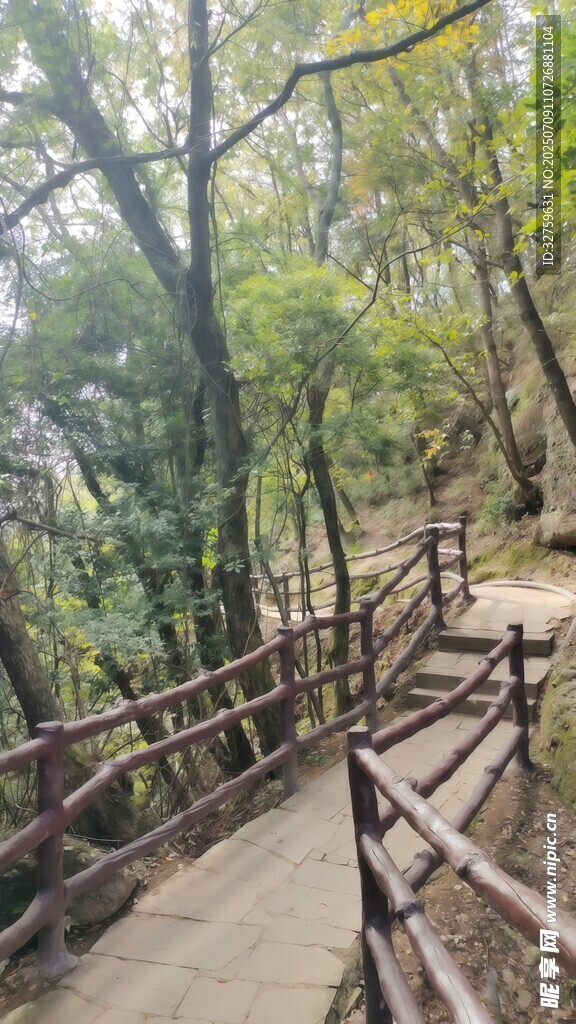 山林间的木质步道