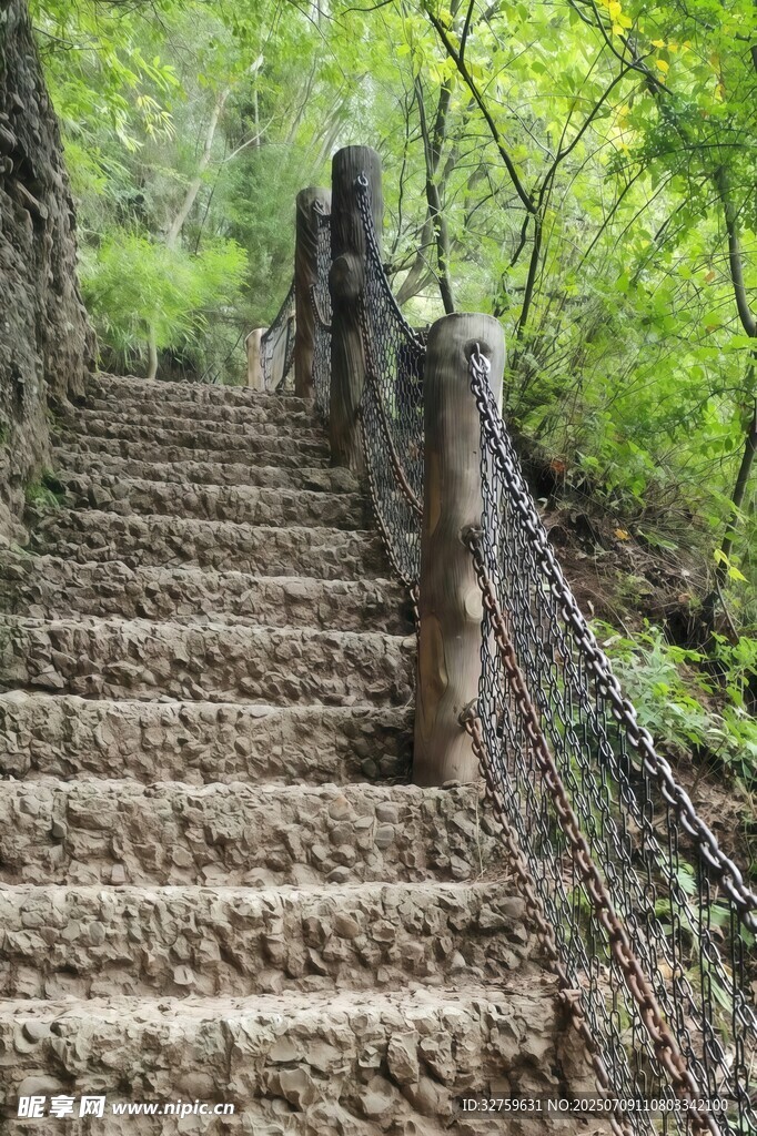 林间石阶