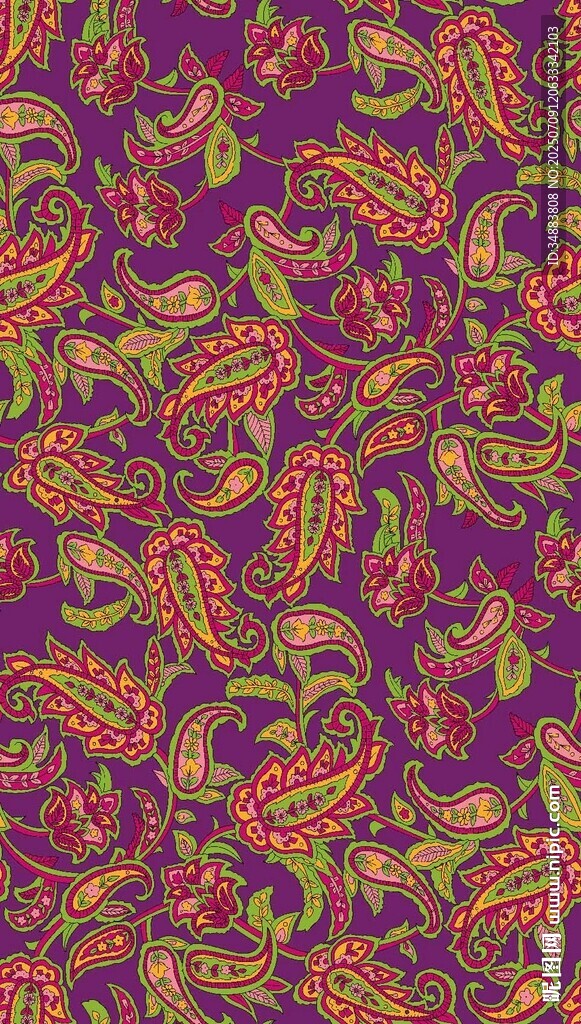 多彩佩斯利花纹图案