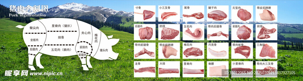 猪肉分割图