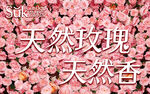天然玫瑰绽放迷人芬芳