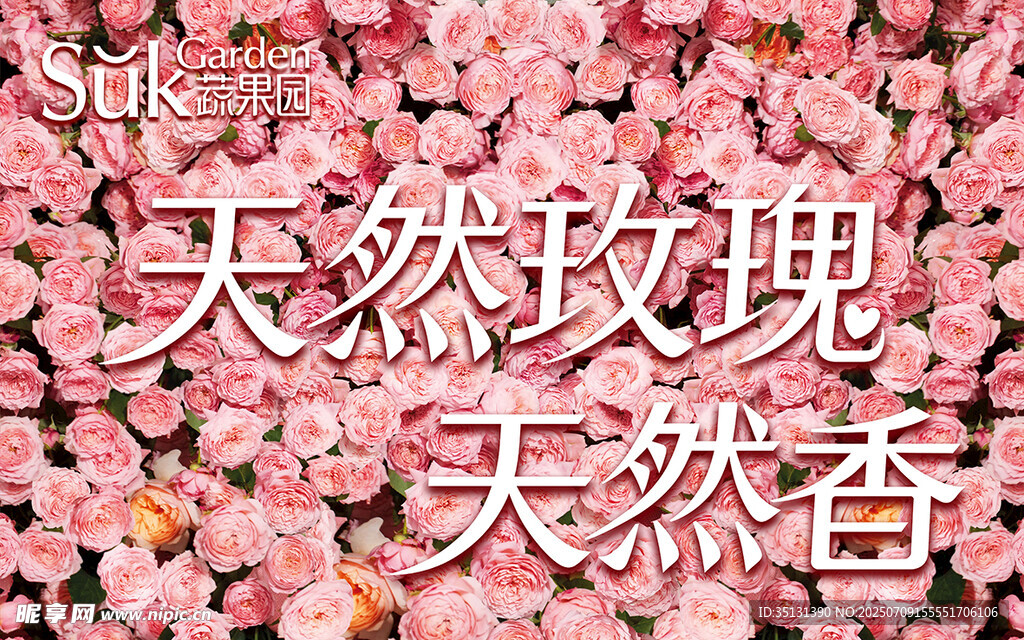 天然玫瑰绽放迷人芬芳