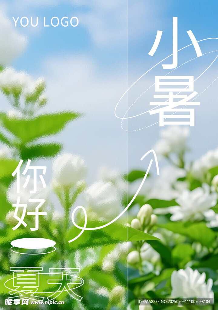 小暑时节清新花卉绽放海报