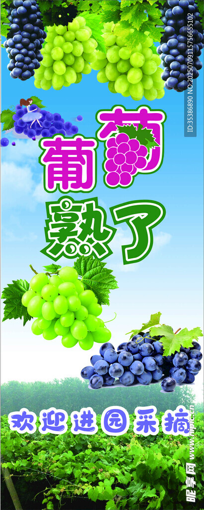 葡萄