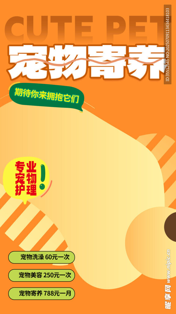 宠物海报