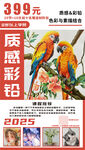 美术彩铅绘画兴趣班招生海报