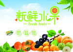 水果蓝天白云