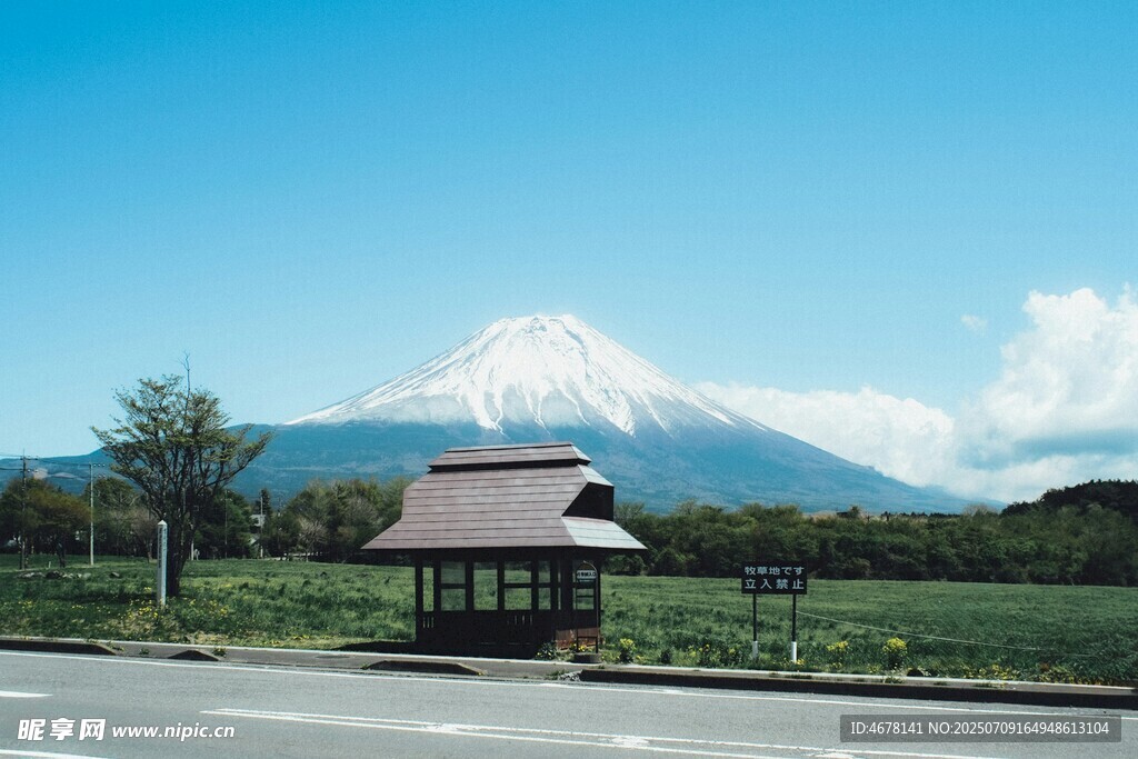 富士山下的路边景致
