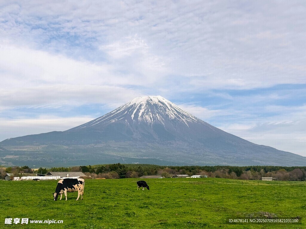 富士山下的田园牧场景象