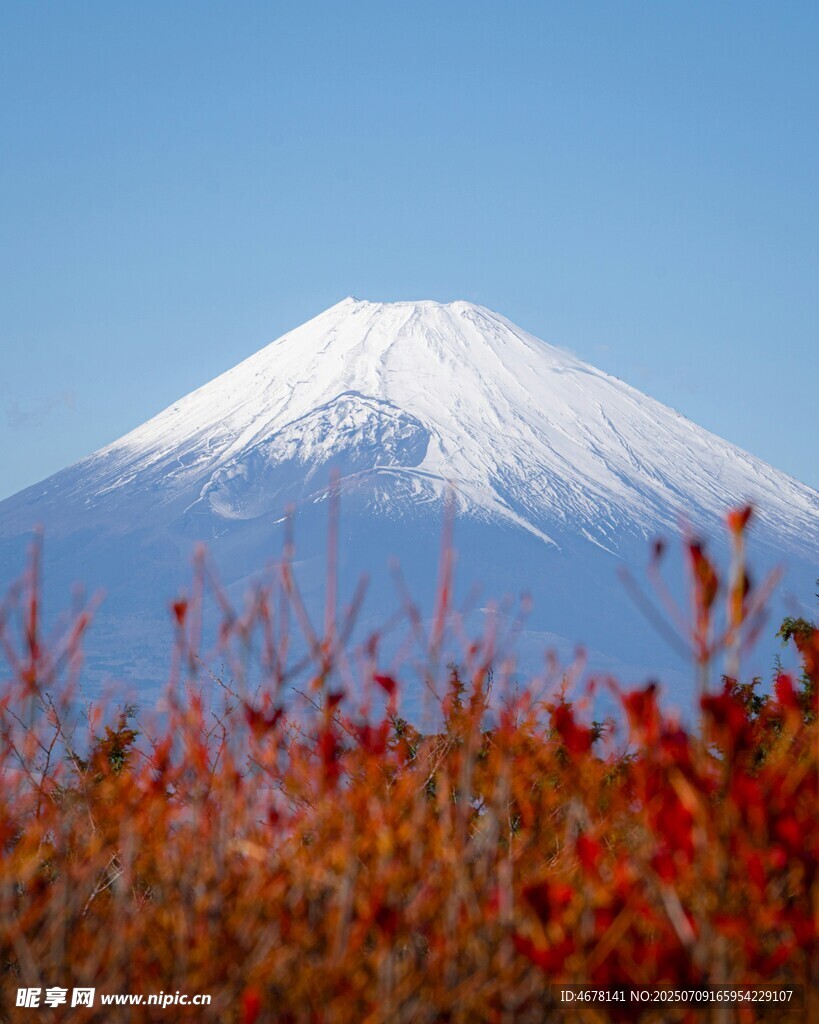 富士山下的绚烂秋景