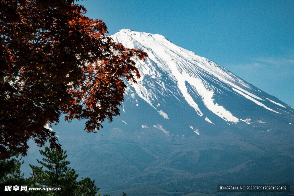 富士山美景红叶相伴