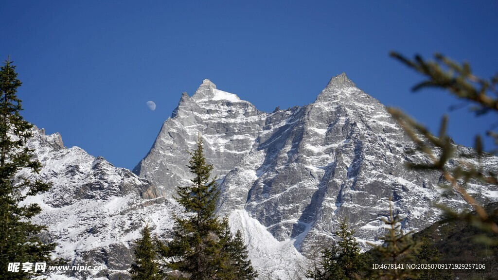 巍峨雪山与葱郁林木