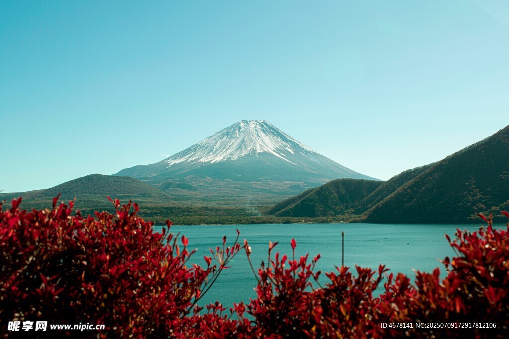 湖畔红植映衬下的富士山