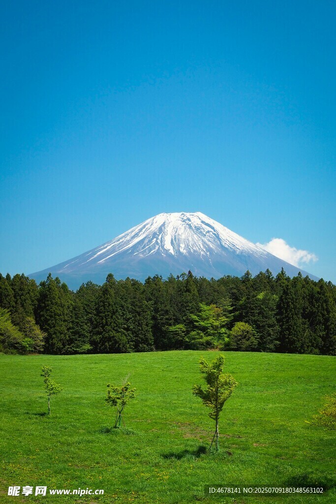 翠绿原野中的巍峨雪山