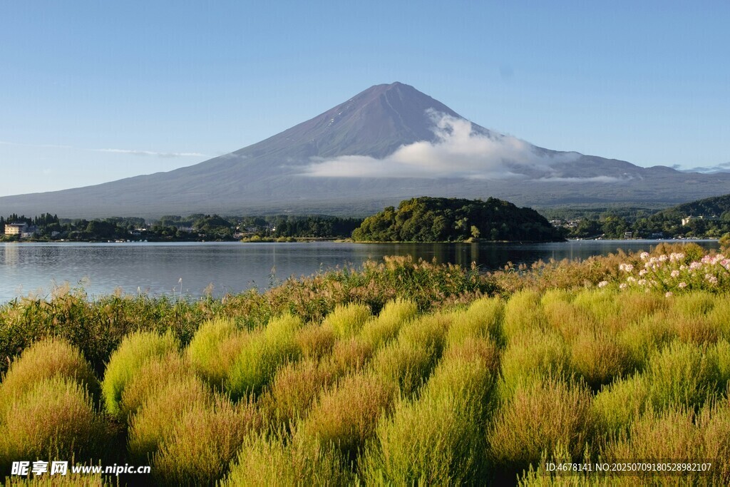 富士山下的湖畔田园风光