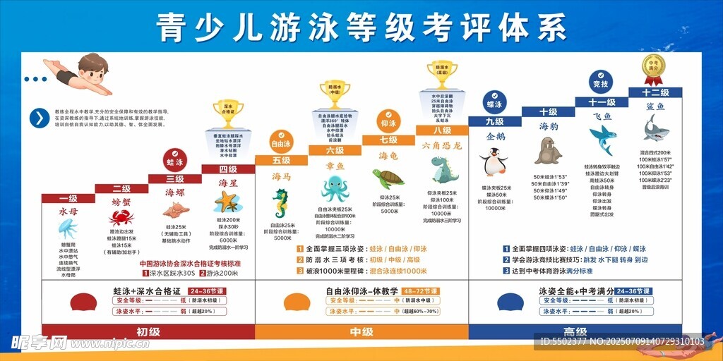 游泳等级