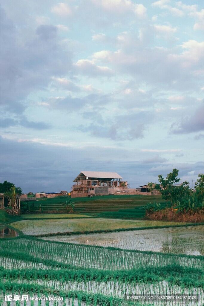 乡村田野风光图景