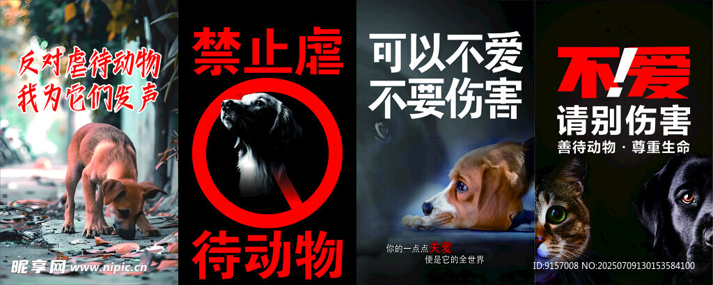 守护动物生命