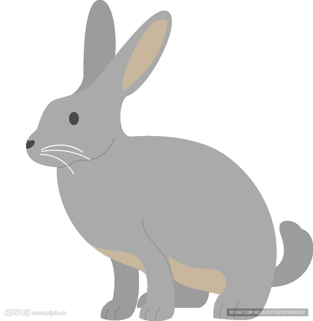 灰色野兔插画