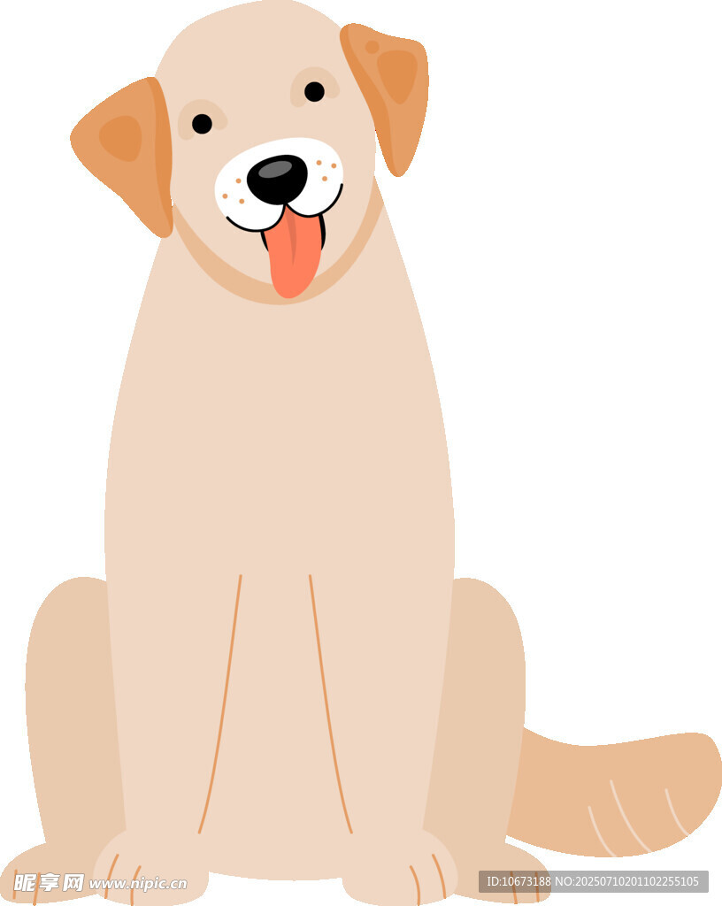 坐着的可爱金毛犬