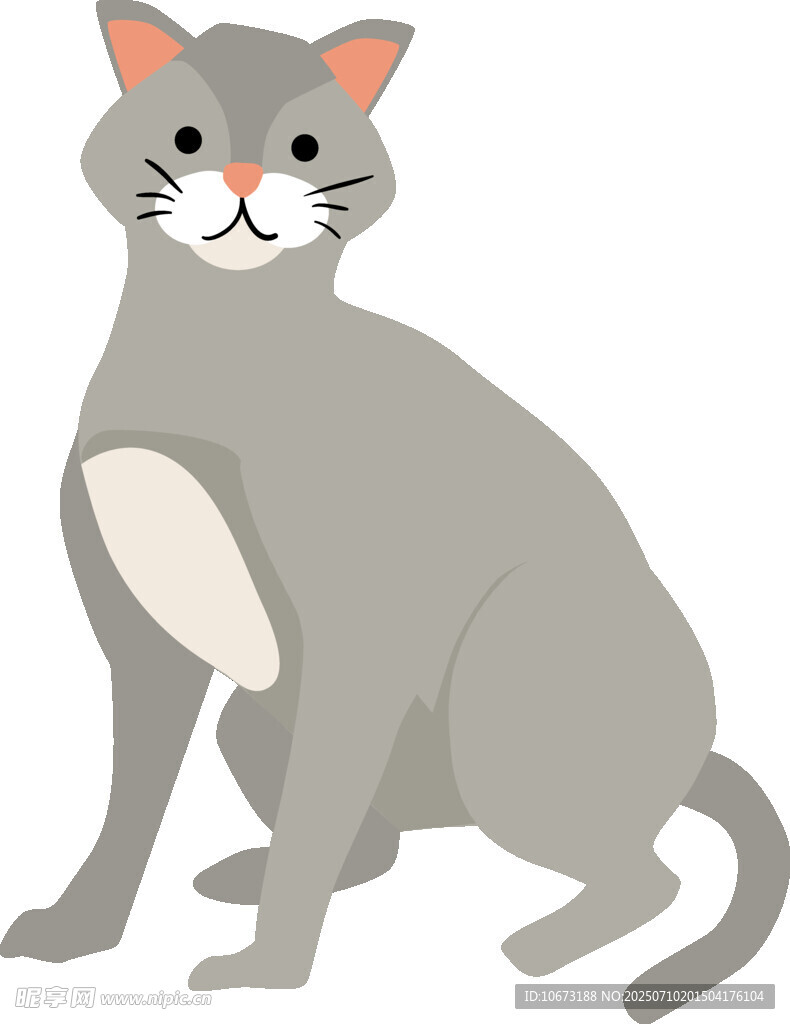 坐着的灰色猫咪