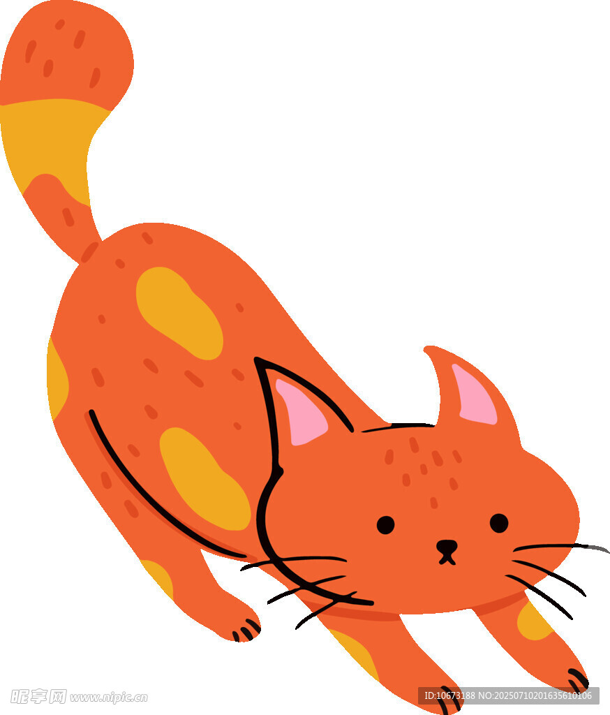 奔跑的橘猫