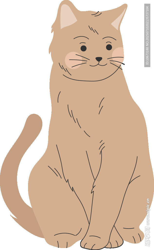 坐着的可爱棕色猫咪