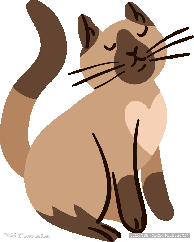 可爱坐着的猫咪