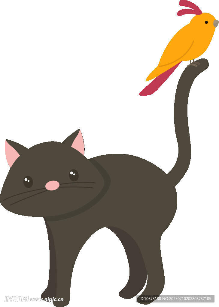 黑猫与肩头小鸟的温馨画面