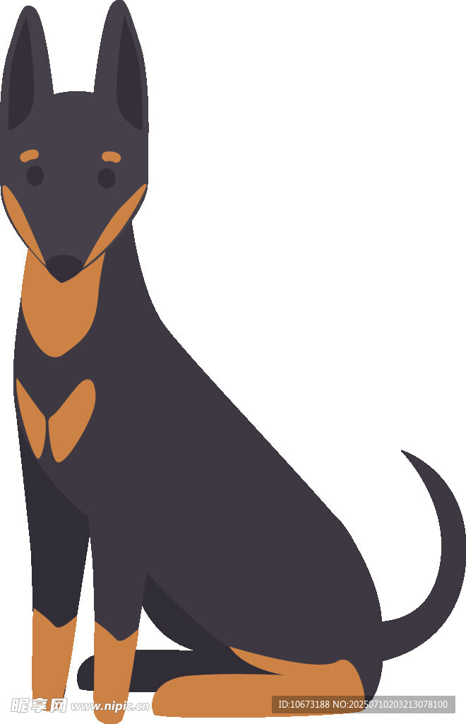 坐着的黑棕相间杜宾犬