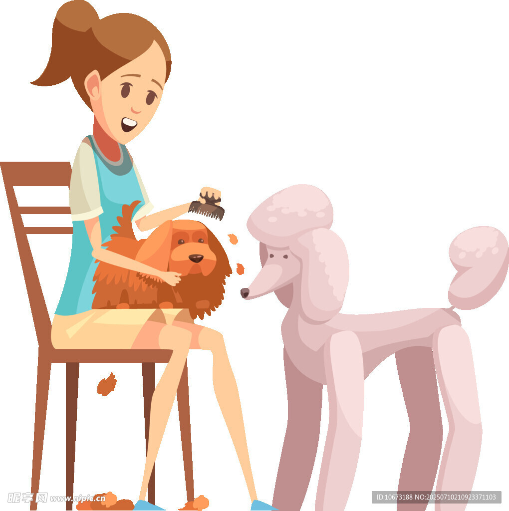 女孩给贵宾犬喂食场景