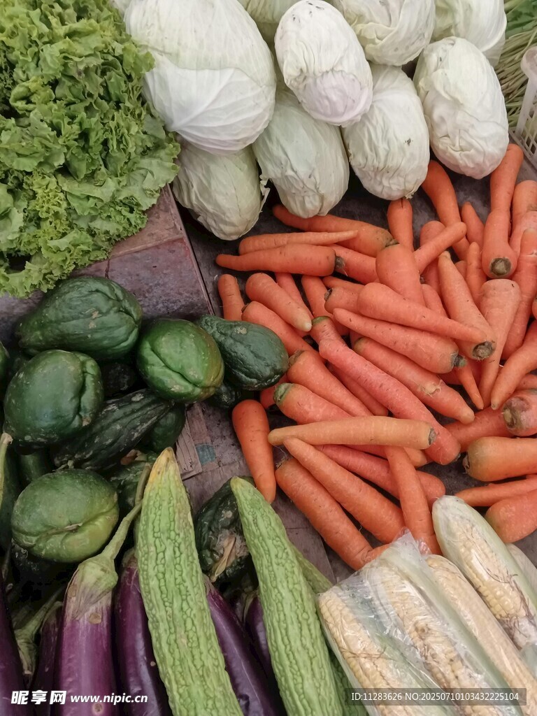 多彩新鲜蔬菜大集合