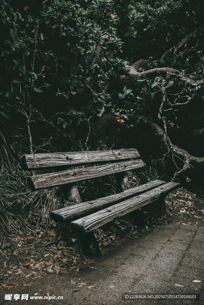 林间旧长椅