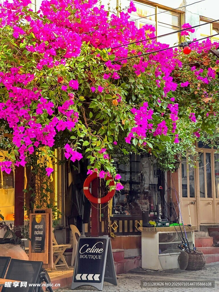 繁花簇拥的浪漫街边小店