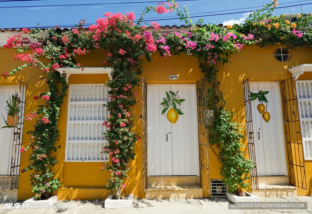 鲜花装点的黄色小屋