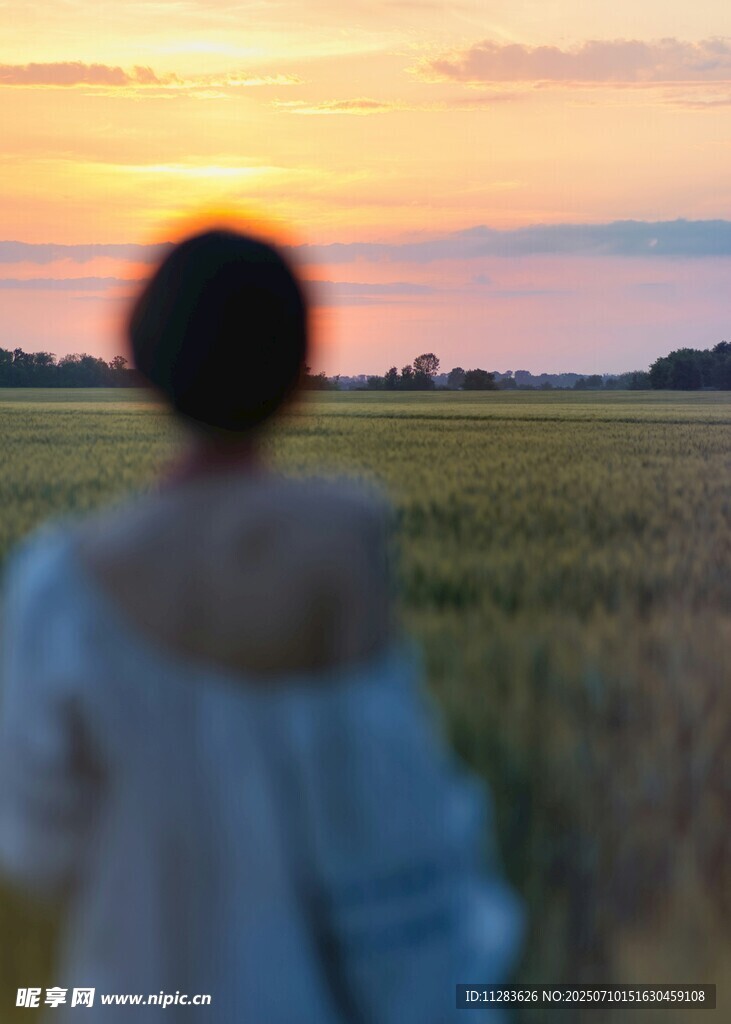 田野间的夕阳背影