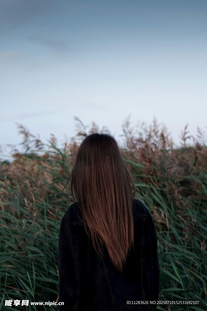 女孩置身芦苇丛中
