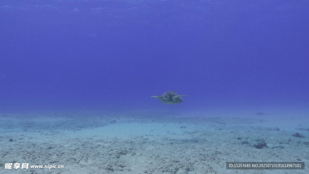 深海中的孤独潜水景象