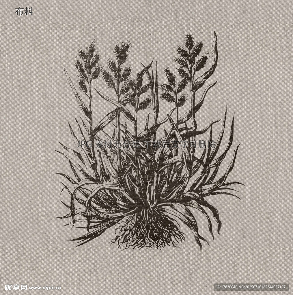 复古风格植物手绘插画