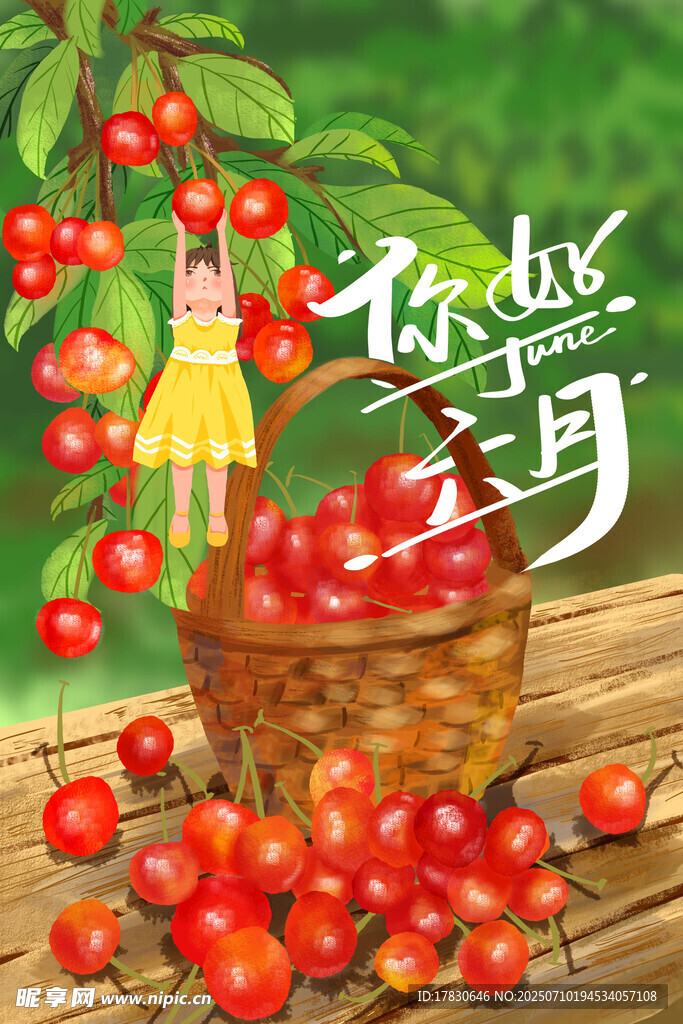 夏日樱桃采摘美好瞬间