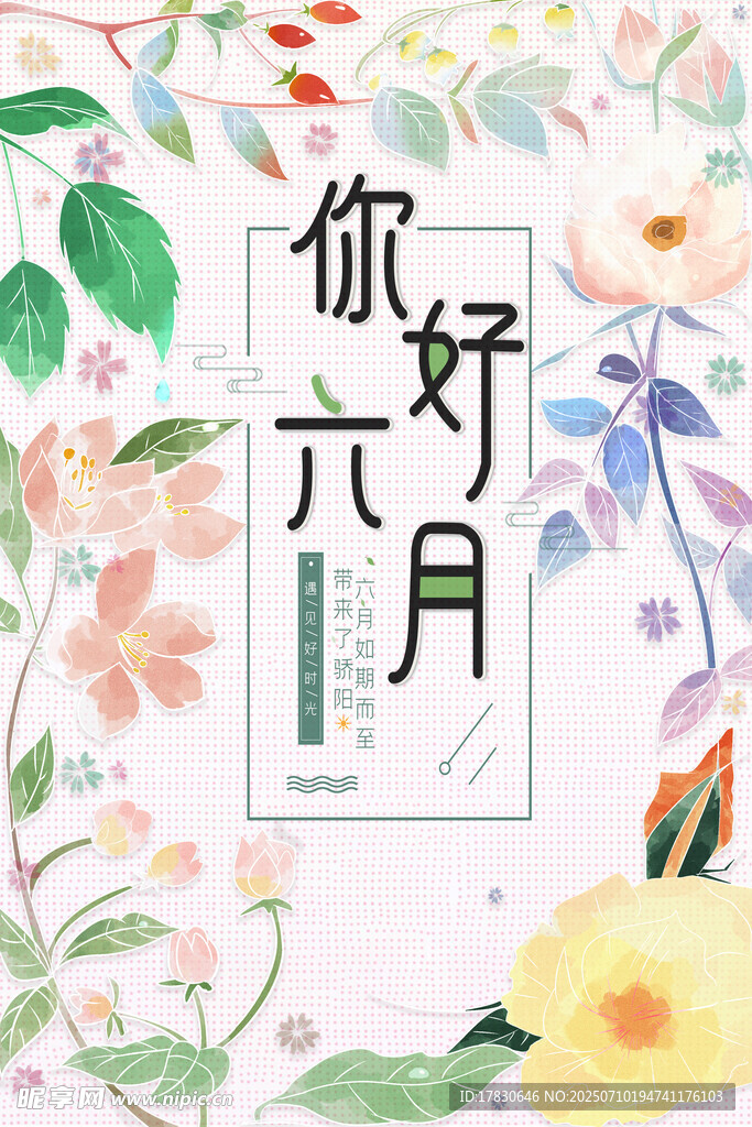 你好六月花卉背景图