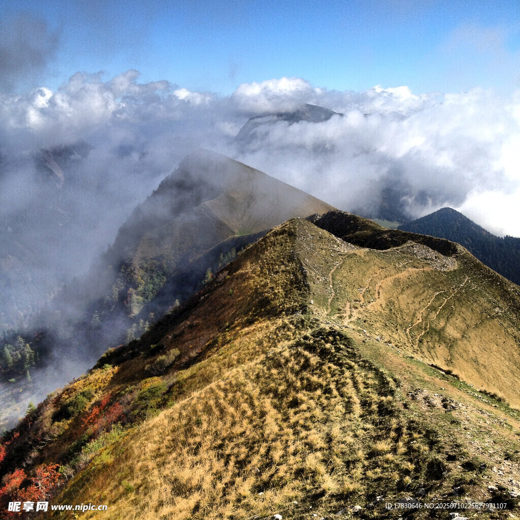 高山云海壮丽风光