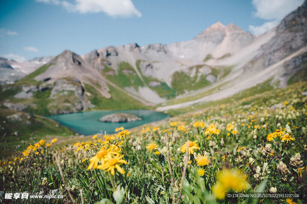 山间花海与湖泊美景