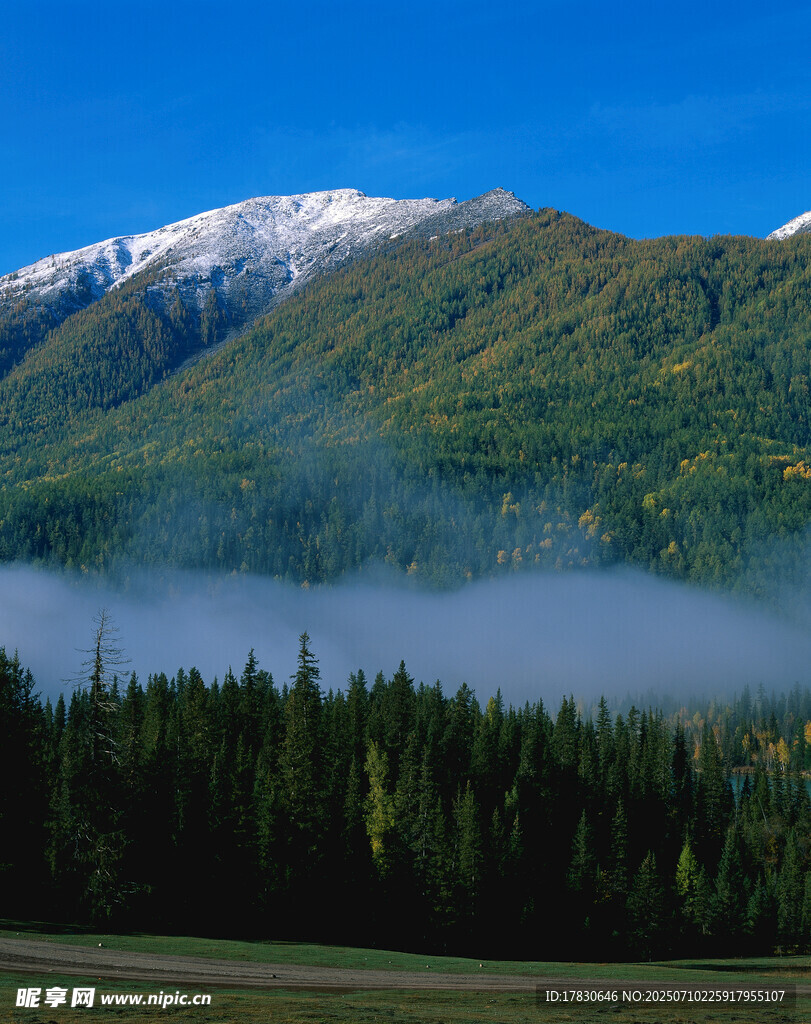 山间晨雾中的森林与雪山