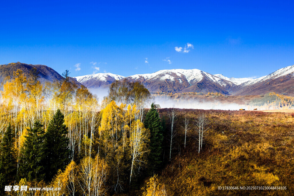 秋日山林与远处雪山美景