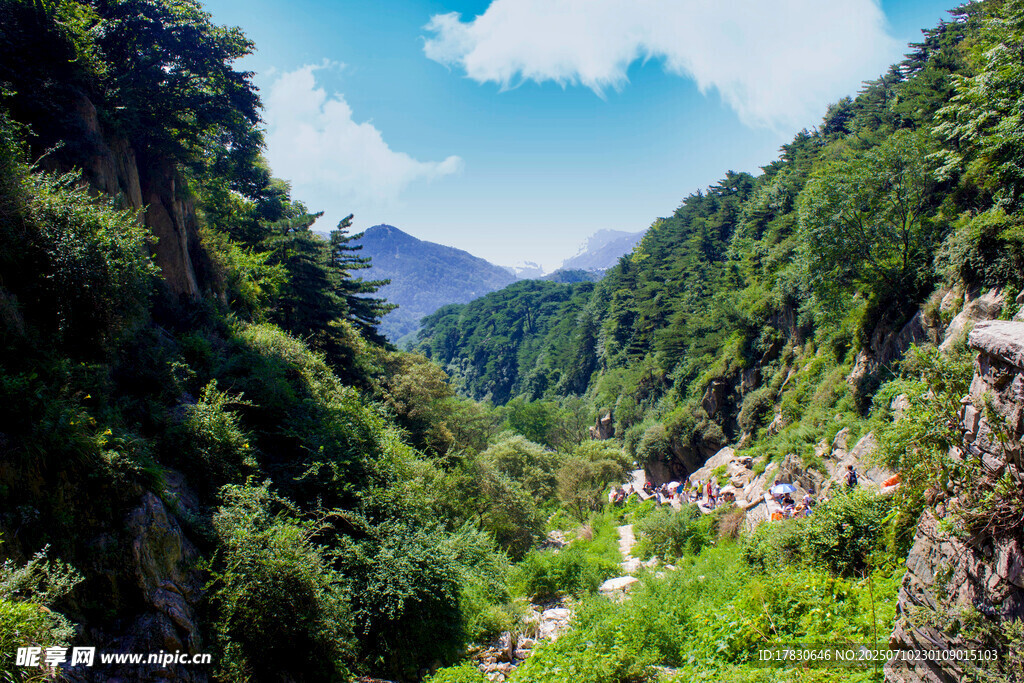 山间绿意盎然的秀丽景色