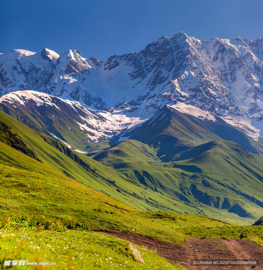 雪山下的翠绿山间小路